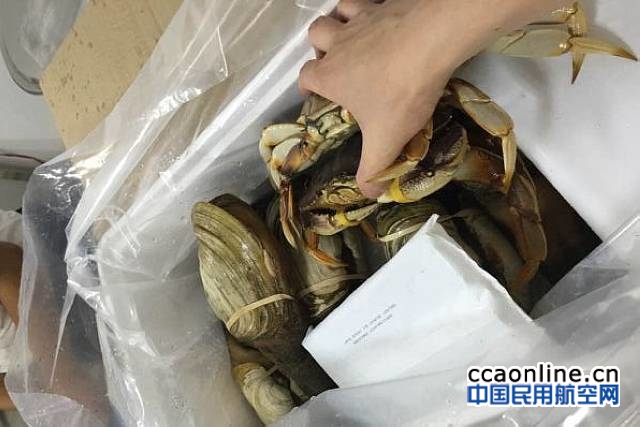 海鮮